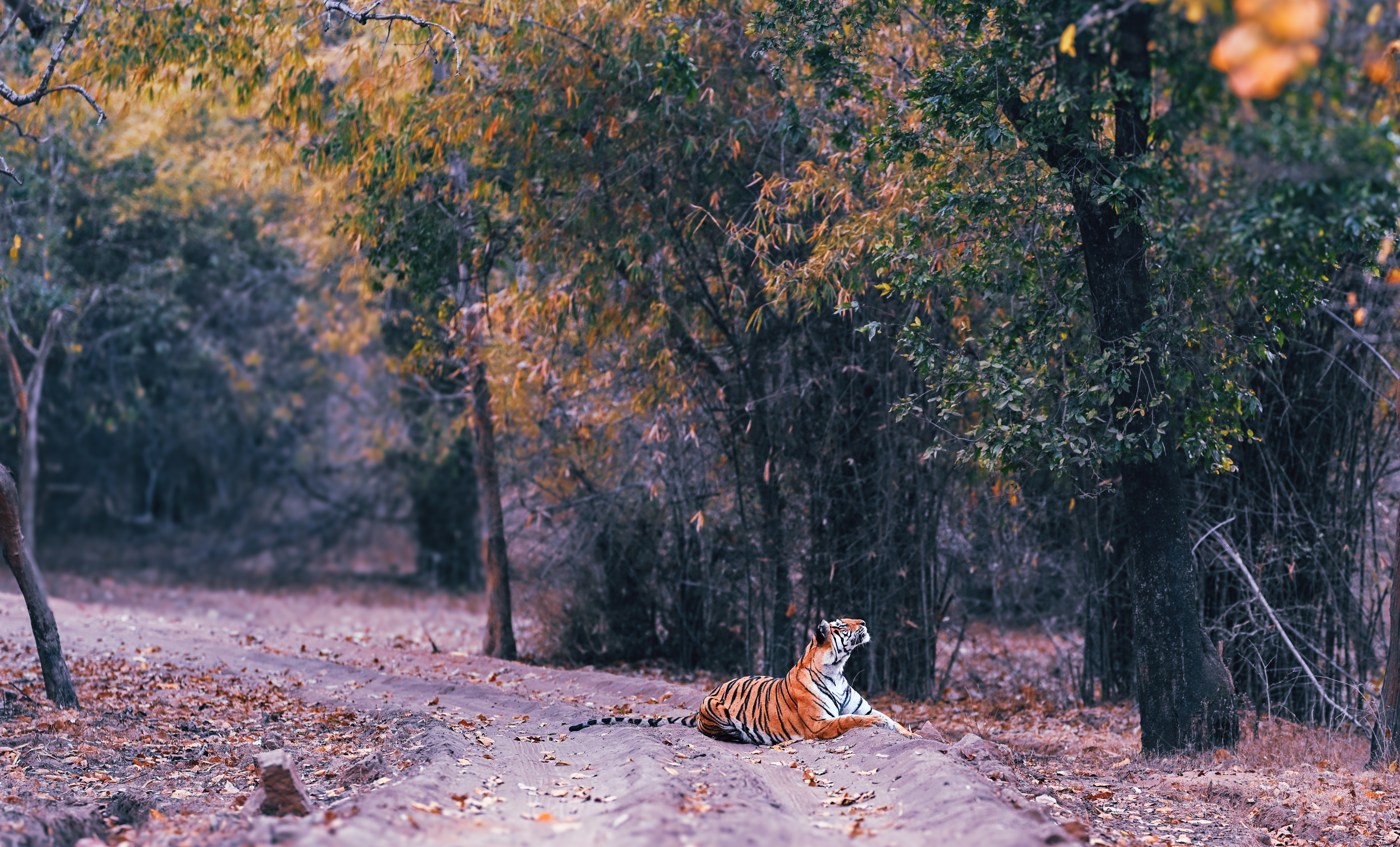 Featured photograph by Abhishutter