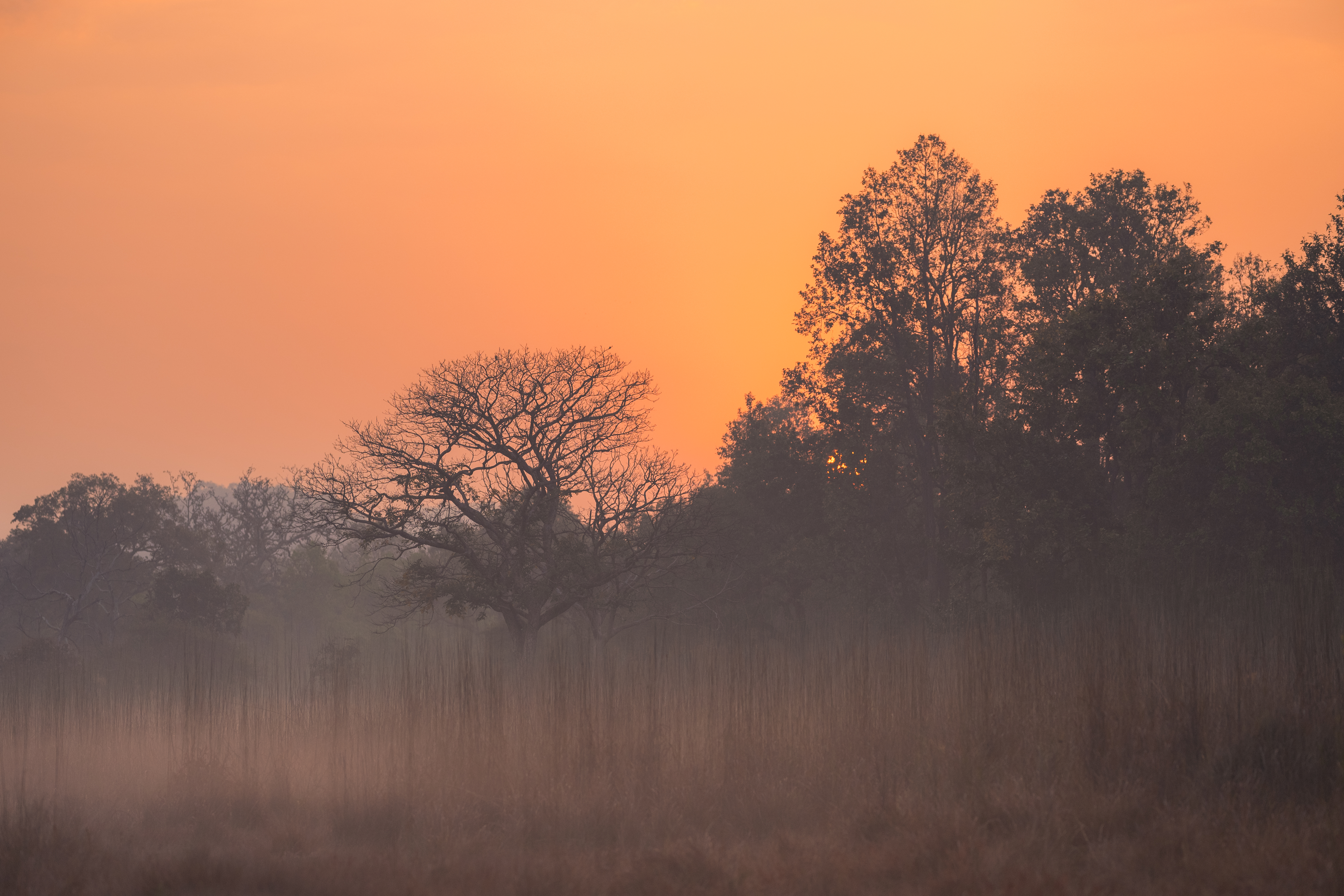 Landscape photography